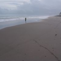 Cynthia Klein Photo 14