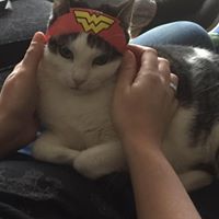 Kellie Foreman Photo 18