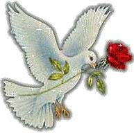 Robert Agustin Photo 4