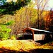 Carl Mcdaniel Photo 11