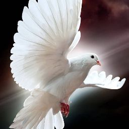 Sharon Casteel Photo 20