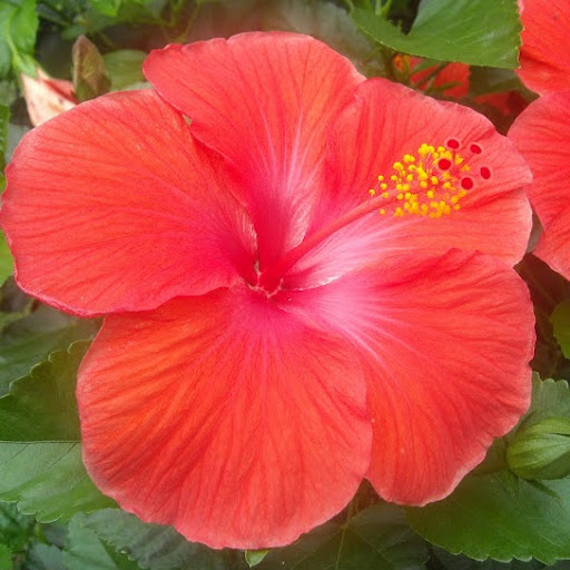 Sandy Elliott Photo 28 Sandy Elliott Photo 28