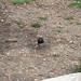 Michele Starling Photo 15
