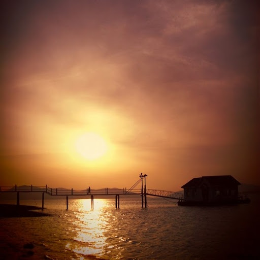 Michael Cutter Photo 19 Michael Cutter Photo 19