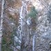 Glenn Gabriel Photo 29