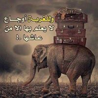 Mohamed Solaiman Photo 3