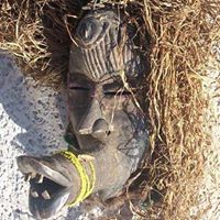 Steve Weintraub Photo 23