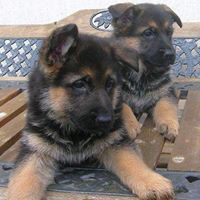 Christina Villarreal Photo 29