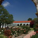 Luis Rose Photo 16
