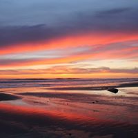 Mitchell Cornelius Photo 4