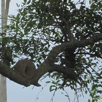 Martha Weiss Photo 16