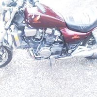 Allen Robison Photo 13