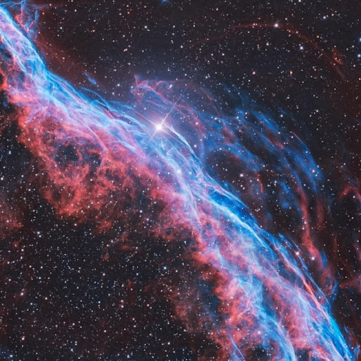 Douglas Bowman Photo 37