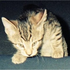 Marshall Fletcher Photo 6