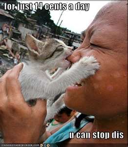 Julius John Photo 13