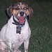 Jackie Shepherd Photo 10