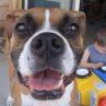 Sarah Backus Photo 8
