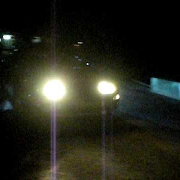 Ron Campbell Photo 40