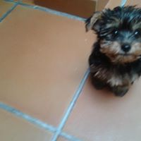 Rosa Cobos Photo 7