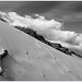 Paul Berry Photo 27
