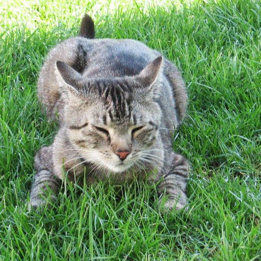 Stephanie Friedrich Photo 6