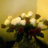 Sandra Dunlap Photo 13