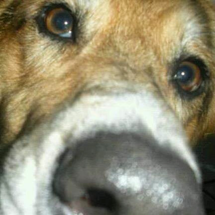 Stephanie Moser Photo 35