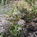 Mark Kerns Photo 15