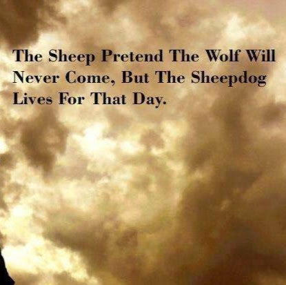 Michele Donovan Photo 14