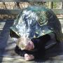 Michael Riddle Photo 33