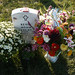 Kevin Adams Photo 35