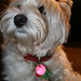 Amy Bianco Photo 26