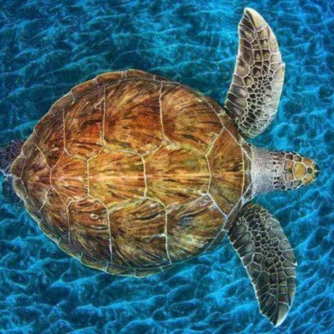 Miguel Lara Photo 27