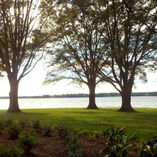 Michele Weaver Photo 39