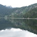 Dorothy Camp Photo 20