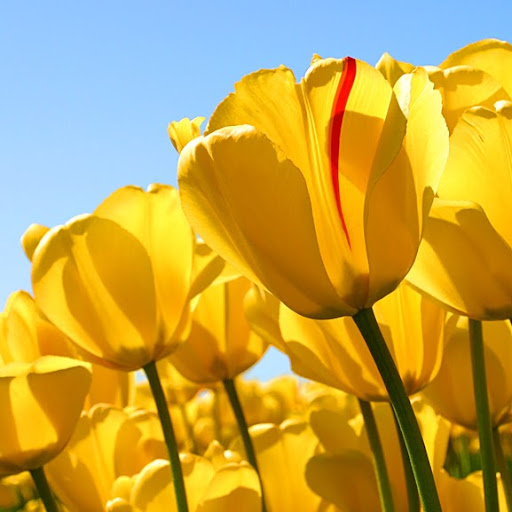 Mayra Martinez Photo 11