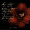 Annette James Photo 13