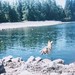 Cory Lake Photo 23