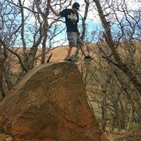 Karl Harvey Photo 13