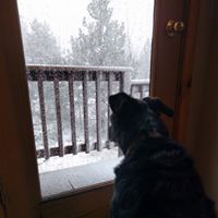 Judy Jensen Photo 24