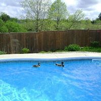 Catherine Strickland Photo 34