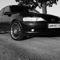 Lisa Werner Photo 39