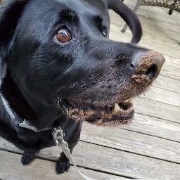 Rachel Hebert Photo 31