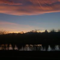 Tony Newton Photo 22