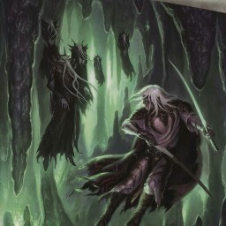 Jesse Shoemaker Photo 9