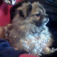 Jenny Sheffield Photo 11