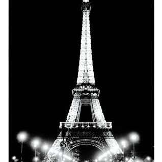 Christine Speer Photo 5