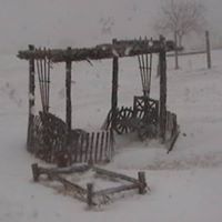 Debbie Frazier Photo 9