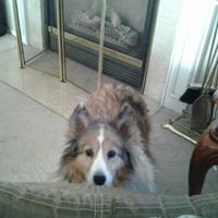 Janice Gates Photo 18