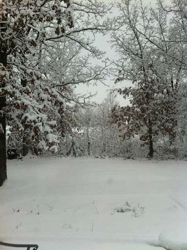 Kathy Elliott Photo 21